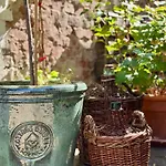 Winzereck - 4 Sterne In Der Suedpfalz * Ranschbach