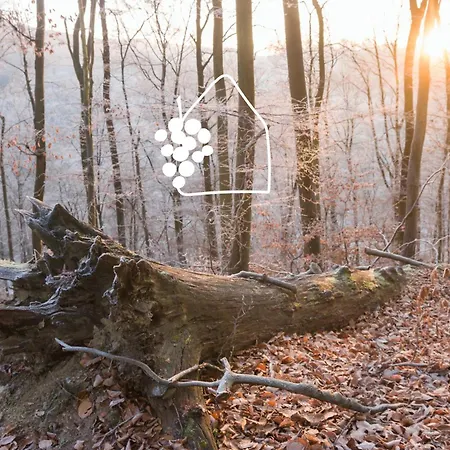 Winzereck - 4 Sterne In Der Suedpfalz *