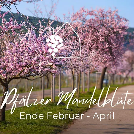 Nyaraló Winzereck - 4 Sterne In Der Suedpfalz