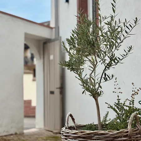 Winzereck - 4 Sterne In Der Suedpfalz Nyaraló