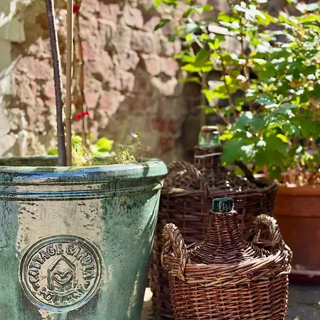 Winzereck - 4 Sterne In Der Suedpfalz * Ranschbach