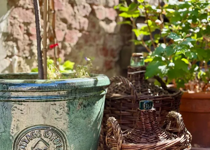 Winzereck - 4 Sterne In Der Suedpfalz * Ranschbach